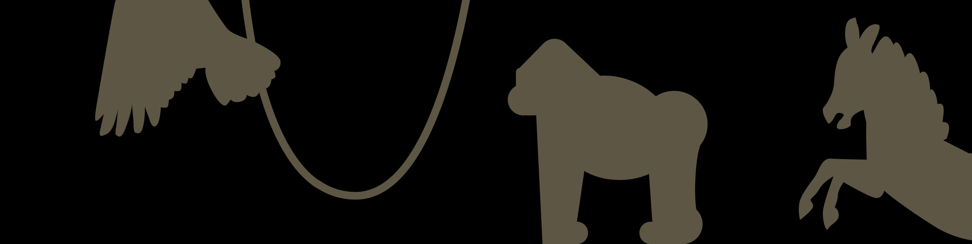 NEW CATALOGUE<BR>​​​​​​​/CHIMERA SS 2027